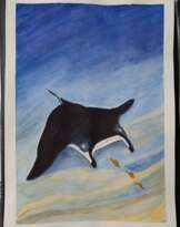 Погружение в Океаны: Манта