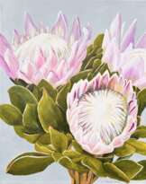 Protea Protea