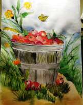 Яблочки Яблочки