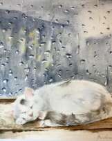 Спящий кот Спящий кот