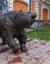 Медведь Медведь