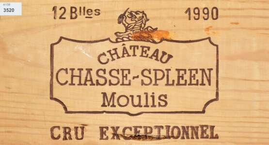 Chateu Chasse Spleen - фото 1