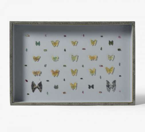 Fünfzehn entomologische Kästen mit Schmetterlingen - photo 15