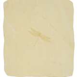 Kalksteinplatte mit Libelle - photo 1