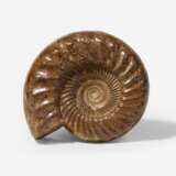 Zwei große polierte Ammoniten - Foto 5