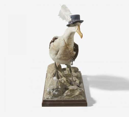 Albatros mit Hut und Kette - фото 2