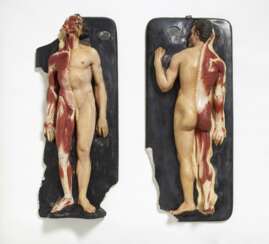 Paar liegender männlicher Anatomie-Modelle, zur Hälfte enthäutet
