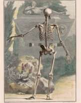 Skelett in Rückansicht vor einem Sarkophag