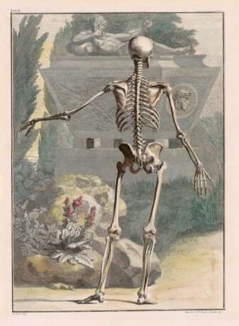 Wandelaar, Jan. Skelett in Rückansicht vor einem Sarkophag - photo 1