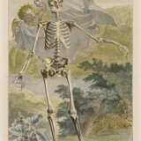 Wandelaar, Jan. Skelett vor einer Landschaft - Foto 1