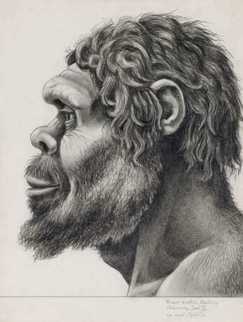 Winker, Friedrich. Vier anthropologische Zeichnungen von Homo erectus und sapiens - photo 3
