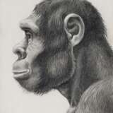 Winker, Friedrich. Vier anthropologische Zeichnungen von Homo erectus und sapiens - photo 5