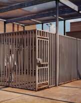 Terrell Yarbrough, death row inmate, age 22, outdoor recreational facility, Mansfield Correctional Institution, Ohio, where prisoners spend one hour a day outside of their cells