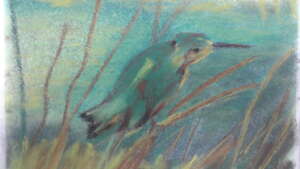 Kingfisher (Based on the work of Vincent Van Gogh, Kingfish)