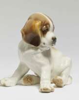 Sitzender junger Bernhardiner