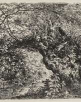 Waldgegend mit einem alten Weidenstamm -