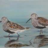 Drawing “Dunlins”, Paper, Watercolor, Realist, Animalistic, 2018 - photo 1