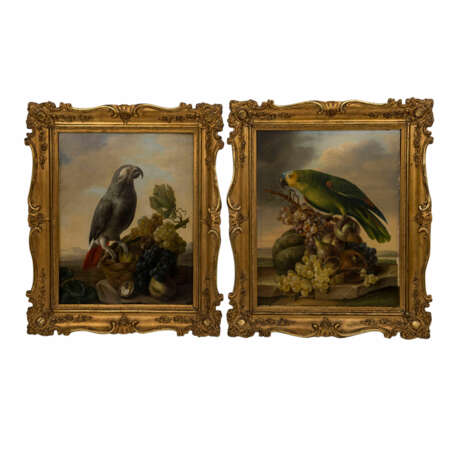 PETTER, FRANZ XAVER (Wien 1791-1866), Paar Papageienbilder als Pendants, - Foto 1