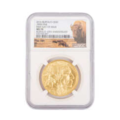 USA/Gold im NGC Grading Blister -