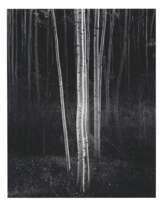 ANSEL ADAMS (1902–1984)