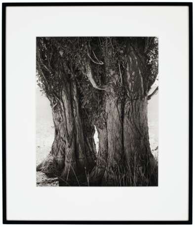 ROBERT ADAMS (B. 1937) - photo 8