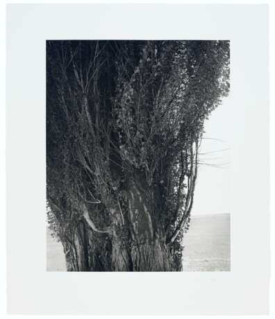 ROBERT ADAMS (B. 1937) - photo 10