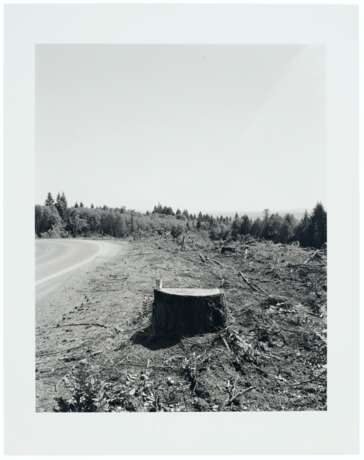 ROBERT ADAMS (B. 1937) - фото 4