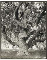 MITCH EPSTEIN (B. 1952)