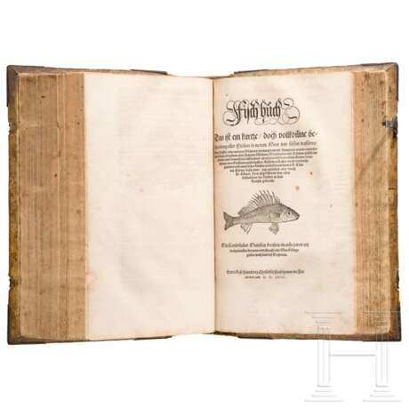 Conrad Gesner, drei Hauptwerke in einem Band: Vogelbuch, Thierbuch, Fischbuch; Zürich, Froschauer, 1557/1563 - photo 10