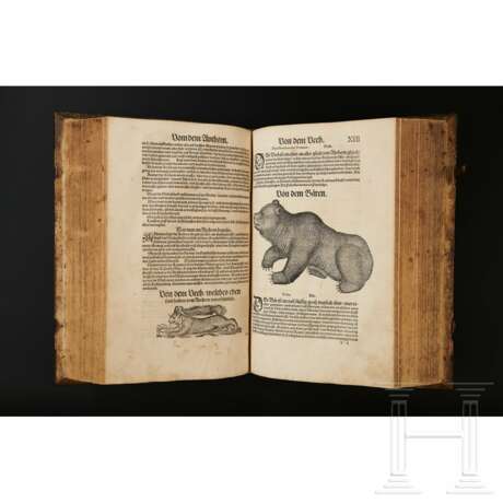 Conrad Gesner, drei Hauptwerke in einem Band: Vogelbuch, Thierbuch, Fischbuch; Zürich, Froschauer, 1557/1563 - фото 12
