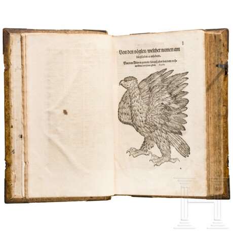 Conrad Gesner, drei Hauptwerke in einem Band: Vogelbuch, Thierbuch, Fischbuch; Zürich, Froschauer, 1557/1563 - фото 16