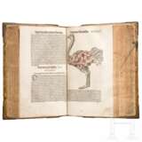 Conrad Gesner, drei Hauptwerke in einem Band: Vogelbuch, Thierbuch, Fischbuch; Zürich, Froschauer, 1557/1563 - фото 19