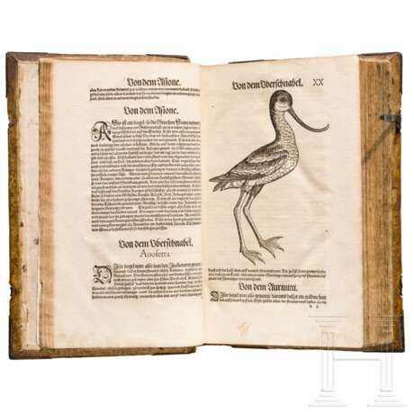 Conrad Gesner, drei Hauptwerke in einem Band: Vogelbuch, Thierbuch, Fischbuch; Zürich, Froschauer, 1557/1563 - фото 21