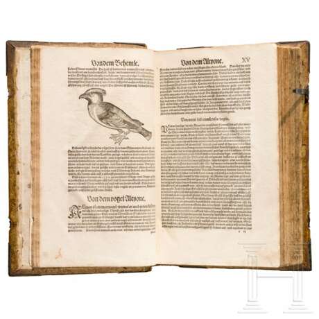 Conrad Gesner, drei Hauptwerke in einem Band: Vogelbuch, Thierbuch, Fischbuch; Zürich, Froschauer, 1557/1563 - photo 22