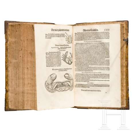 Conrad Gesner, drei Hauptwerke in einem Band: Vogelbuch, Thierbuch, Fischbuch; Zürich, Froschauer, 1557/1563 - фото 24