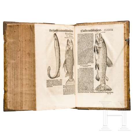 Conrad Gesner, drei Hauptwerke in einem Band: Vogelbuch, Thierbuch, Fischbuch; Zürich, Froschauer, 1557/1563 - photo 30