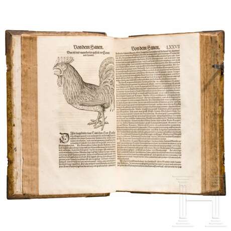 Conrad Gesner, drei Hauptwerke in einem Band: Vogelbuch, Thierbuch, Fischbuch; Zürich, Froschauer, 1557/1563 - photo 40