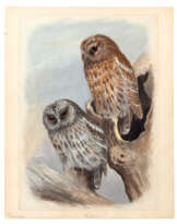 LILIAN MARGUERITE MEDLAND ( LONDRES 1880-1955 AUSTRALIE)