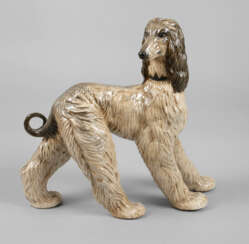 Rosenthal Afghanischer Windhund