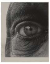 BILL BRANDT (1904–1983) 