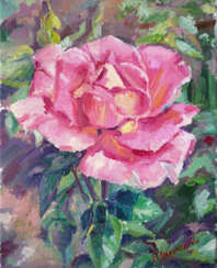 "Rose in the garden"