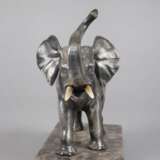 Stehender afrikanischer Elefant - photo 3