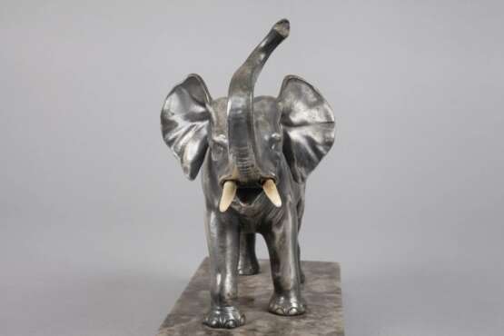 Stehender afrikanischer Elefant - photo 3