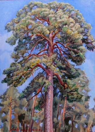 Painting “The top of the pine.”, Cardboard, Oil paint, Impressionist, Landscape painting, 2020 - photo 1
