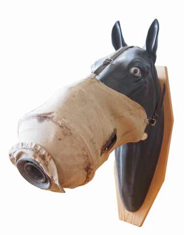Russia: horse gas mask. Linen cloth with a centrally integrated filter - photo 2