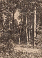 IVAN IVANOWITSCH SHISHKIN 1832 Yelabuga - 1898 Forêt de bouleaux de Saint-Pétersbourg Eau-forte sur papier. Dimensions visibles 23 cm x 17 cm. Monté dans un tapis