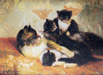 Vier Katzen