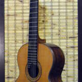 Семиструнная гитара из индийского палисандра №216-Ш-3 Acajou Incrustation 2020 - photo 1