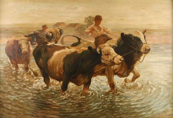 Rinder in der Schwemme - Foto 1