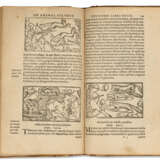 MAGNUS, Olaus, Olof Mansson, dit (1490-1557) Historia de gen... - Foto 2